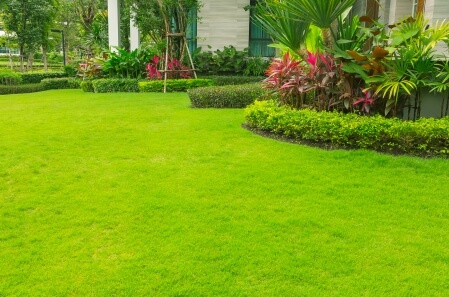 Decoracao